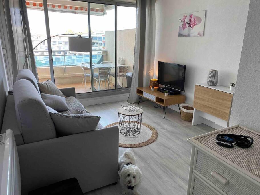 Joli Studio Vue Mer Et Port Mauguio Exteriér fotografie